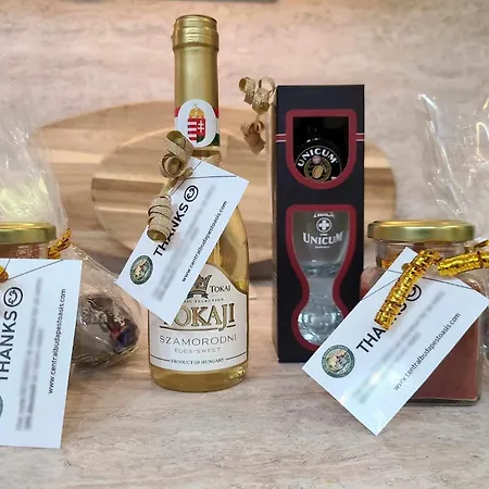 アパート Oasis - Center ブダペスト